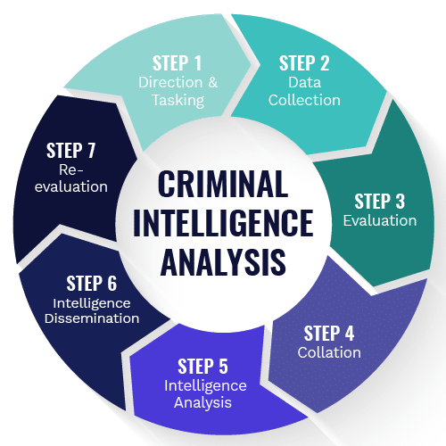 Criminal intelligence analysis cycle